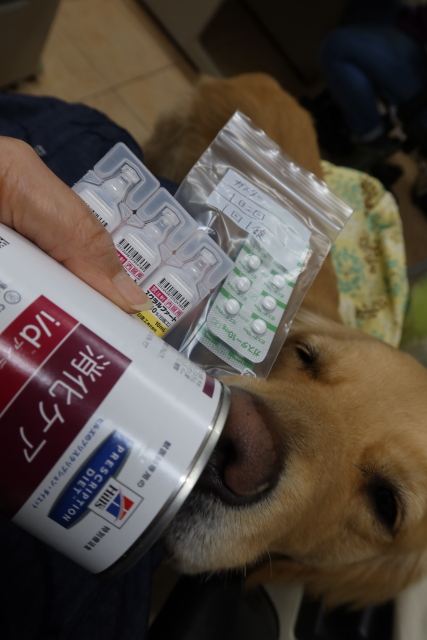 ファイル 7964-2.jpg