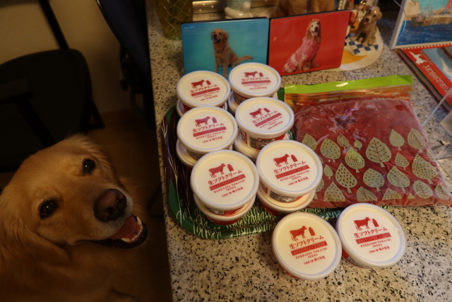 ファイル 7967-5.jpg