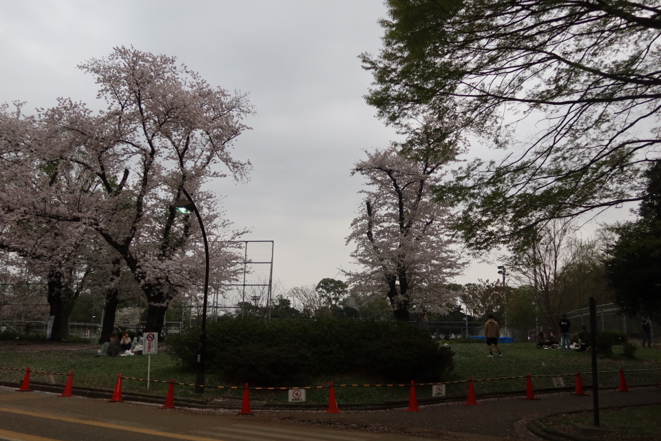 ファイル 7968-4.jpg