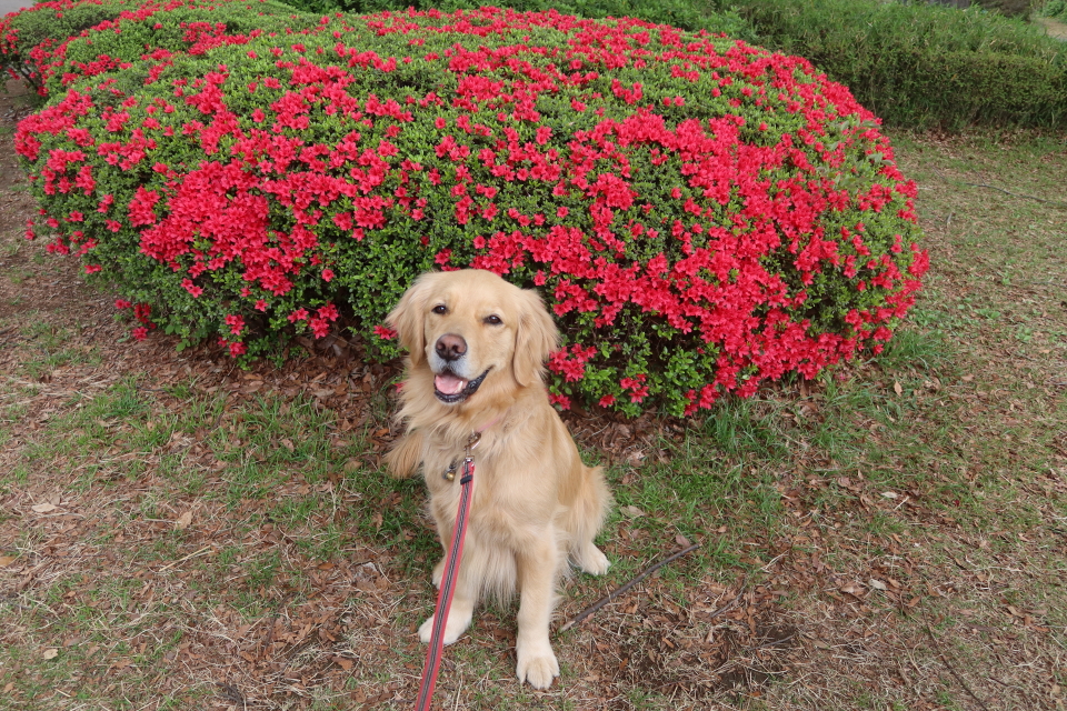 ファイル 7969-2.jpg