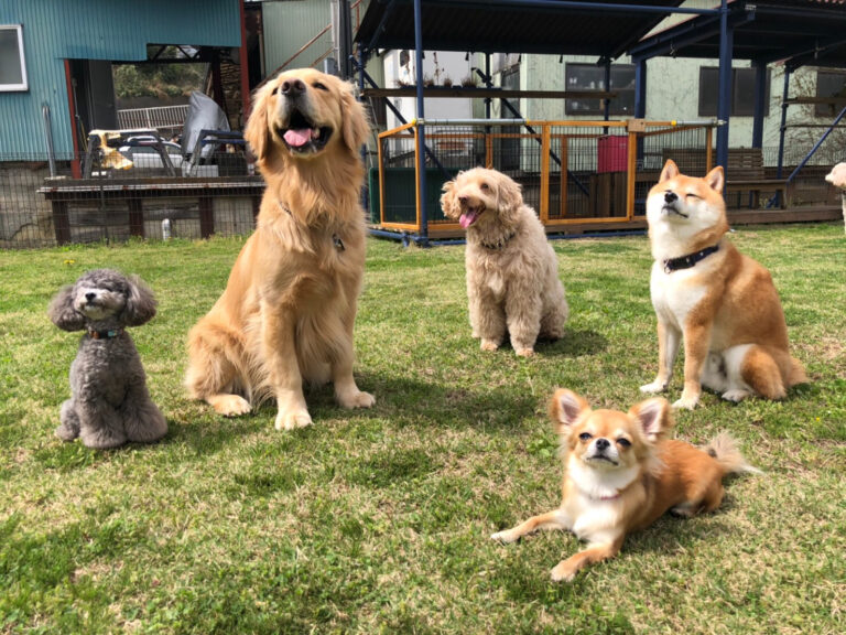 ファイル 7970-3.jpeg