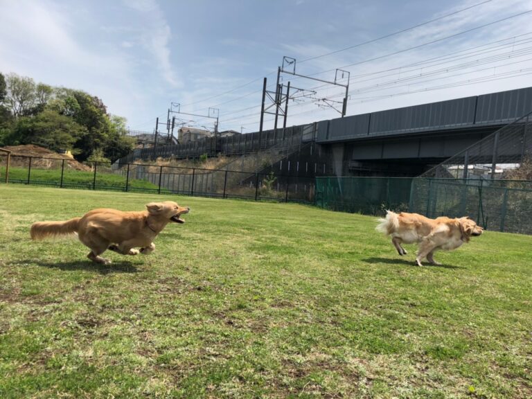 ファイル 7976-3.jpeg