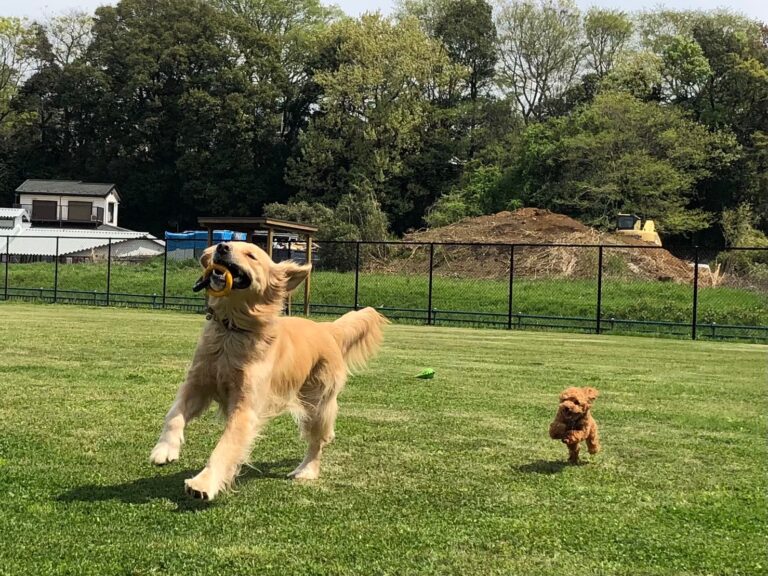 ファイル 7976-5.jpeg