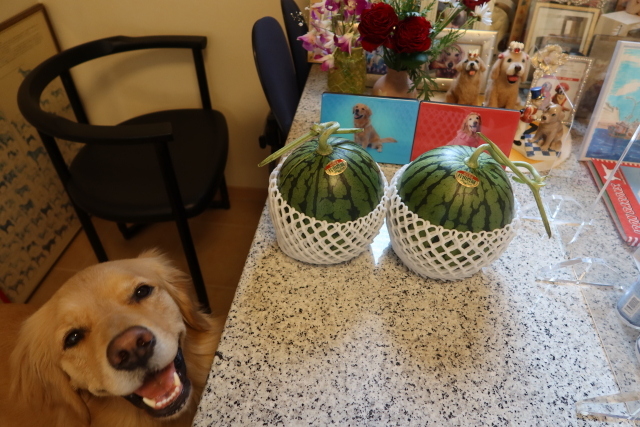 ファイル 7977-1.jpg