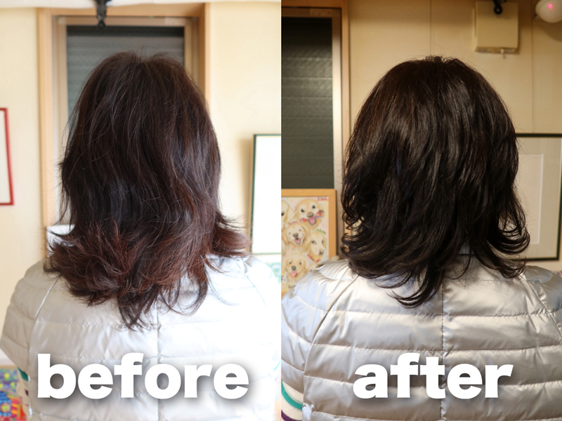 ファイル 7978-5.jpg