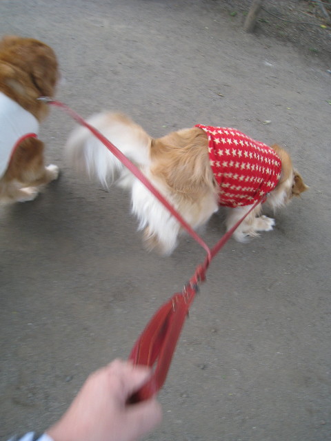 ファイル 798-1.jpg