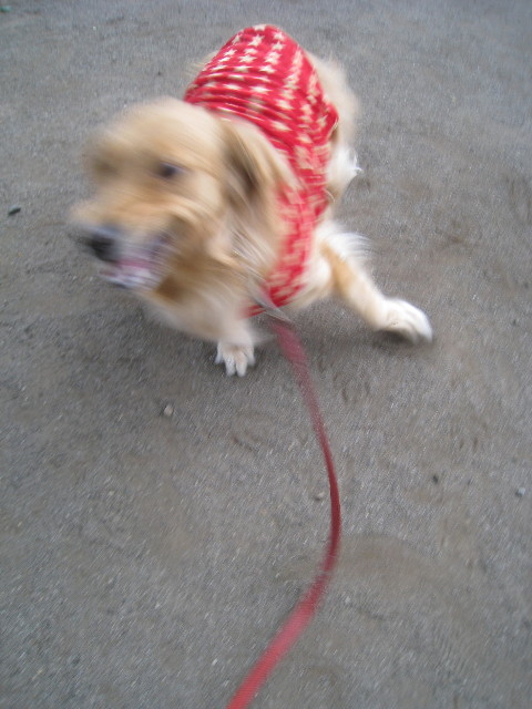 ファイル 798-2.jpg