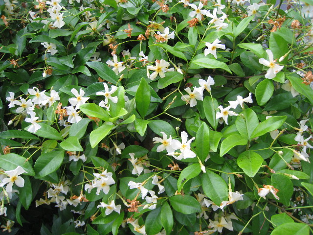 ファイル 798-5.jpg