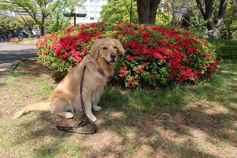 ファイル 7981-3.jpg