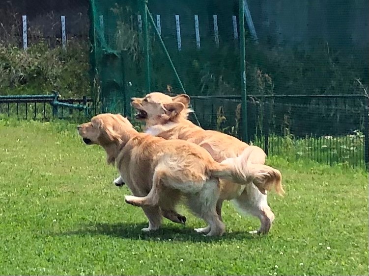 ファイル 7983-3.jpeg