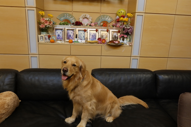 ファイル 7984-4.jpg