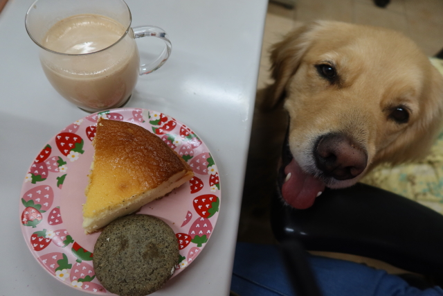 ファイル 7984-5.jpg