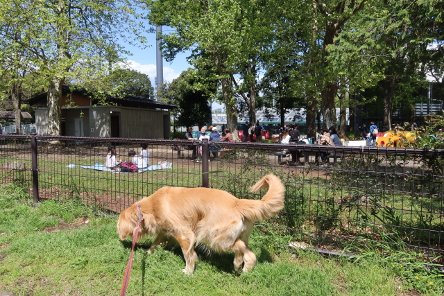 ファイル 7985-1.jpg