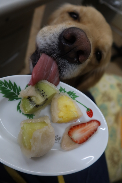 ファイル 7986-2.jpg