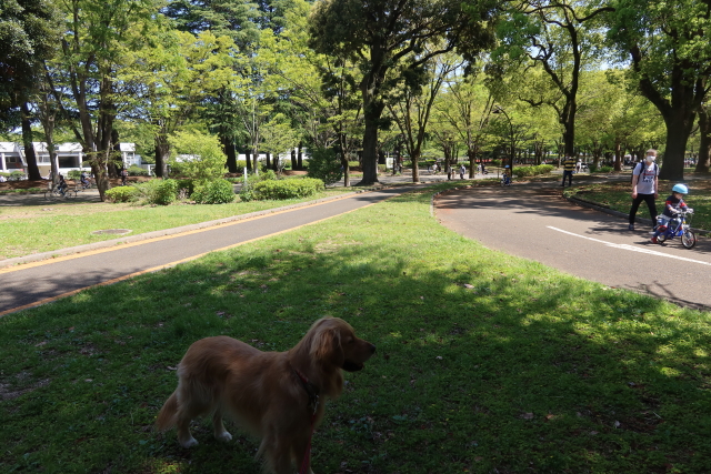 ファイル 7986-5.jpg