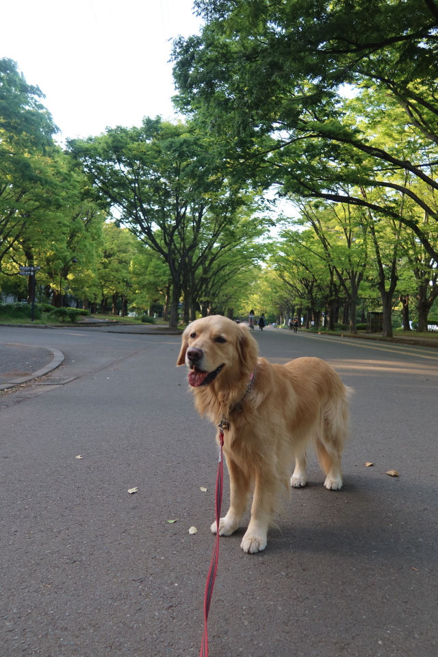 ファイル 7988-1.jpg