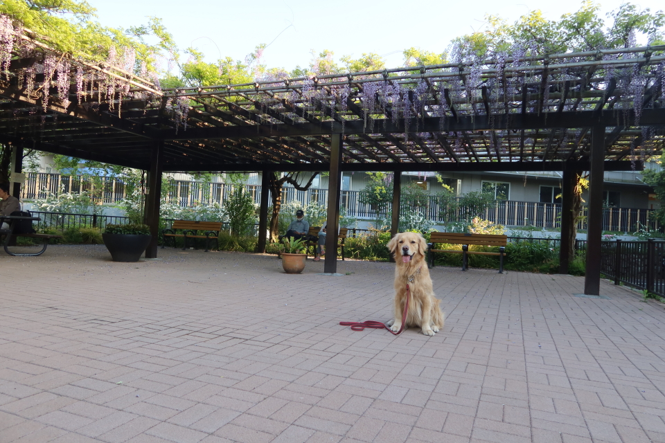 ファイル 7988-3.jpg