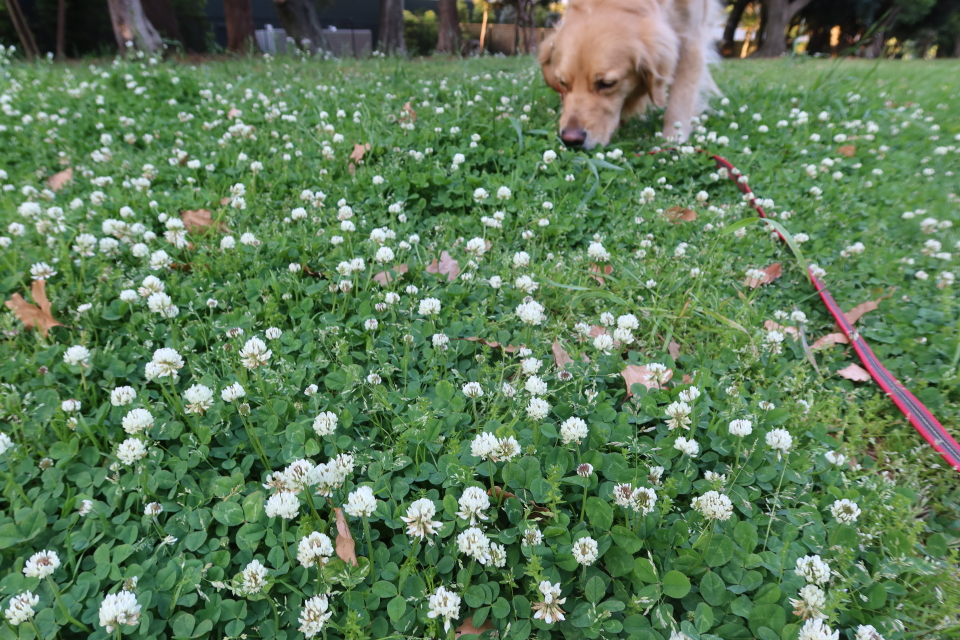 ファイル 7989-4.jpg