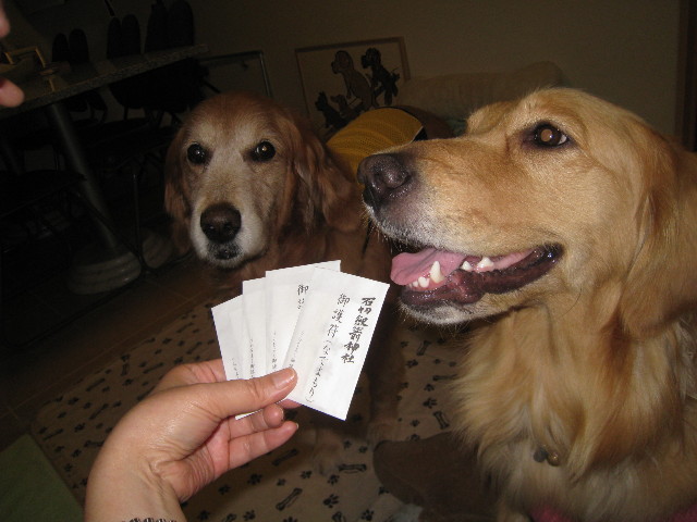 ファイル 799-2.jpg