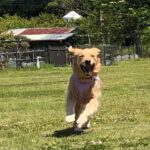 ファイル 7990-1.jpeg