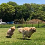 ファイル 7990-2.jpeg