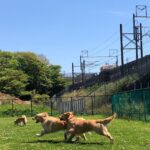 ファイル 7990-3.jpeg