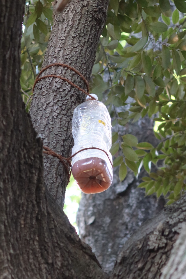 ファイル 7993-2.jpg