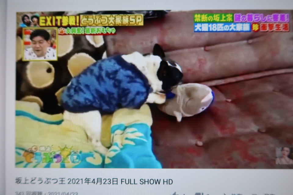 ファイル 7994-1.jpg