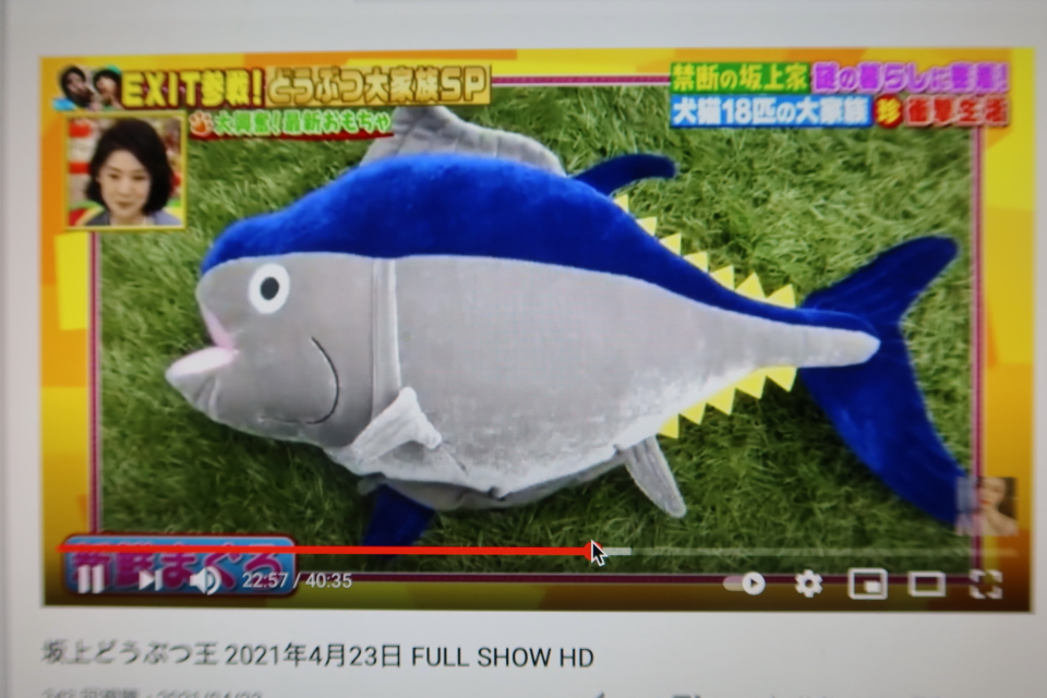 ファイル 7994-2.jpg