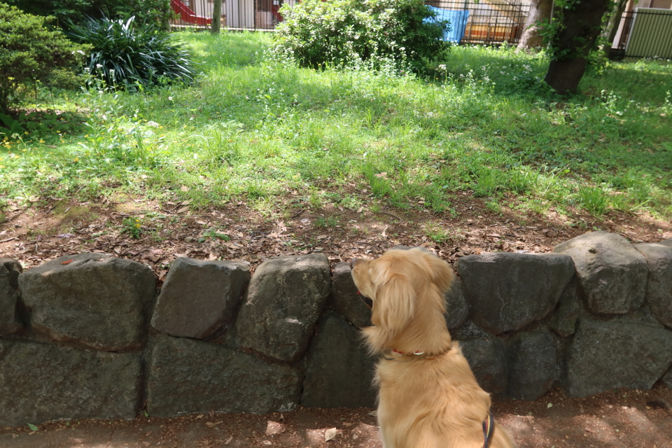 ファイル 7994-3.jpg