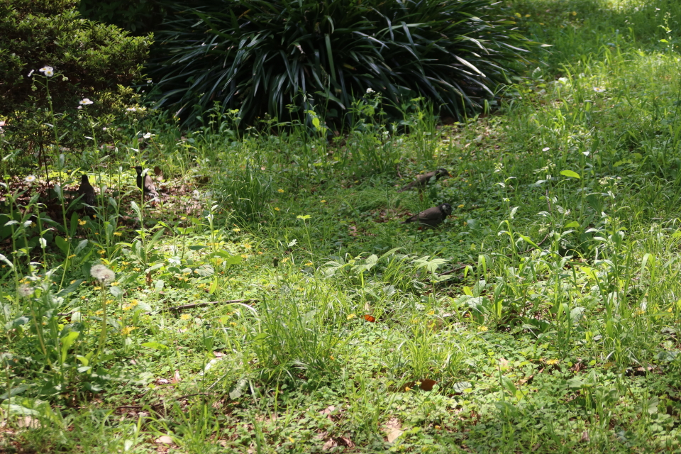 ファイル 7994-4.jpg