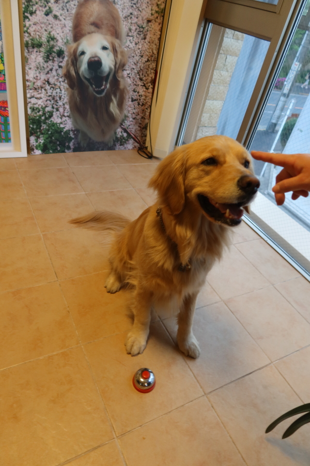 ファイル 7995-2.jpg