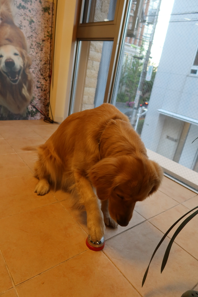 ファイル 7995-3.jpg