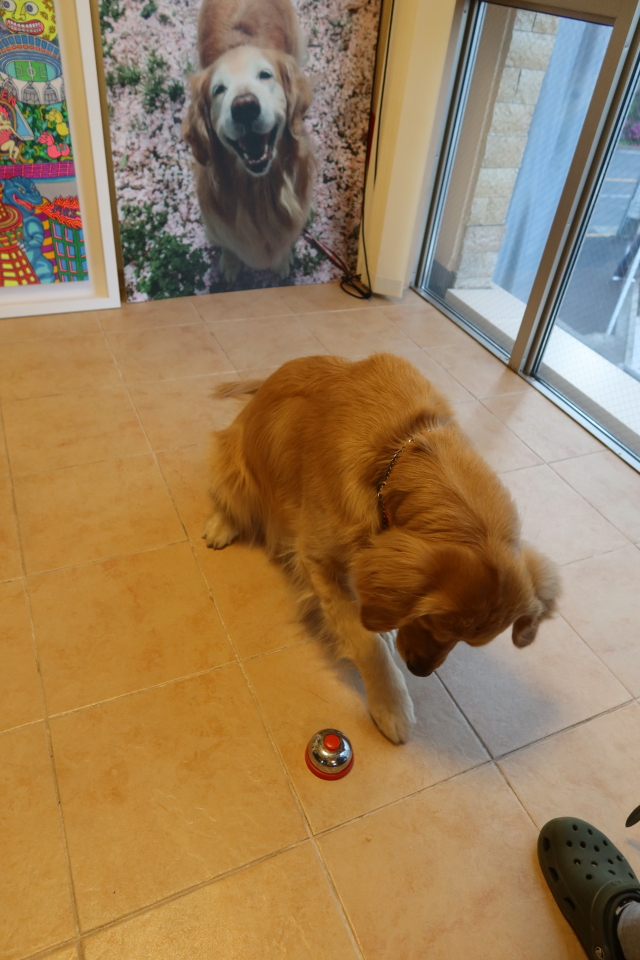 ファイル 7995-4.jpg