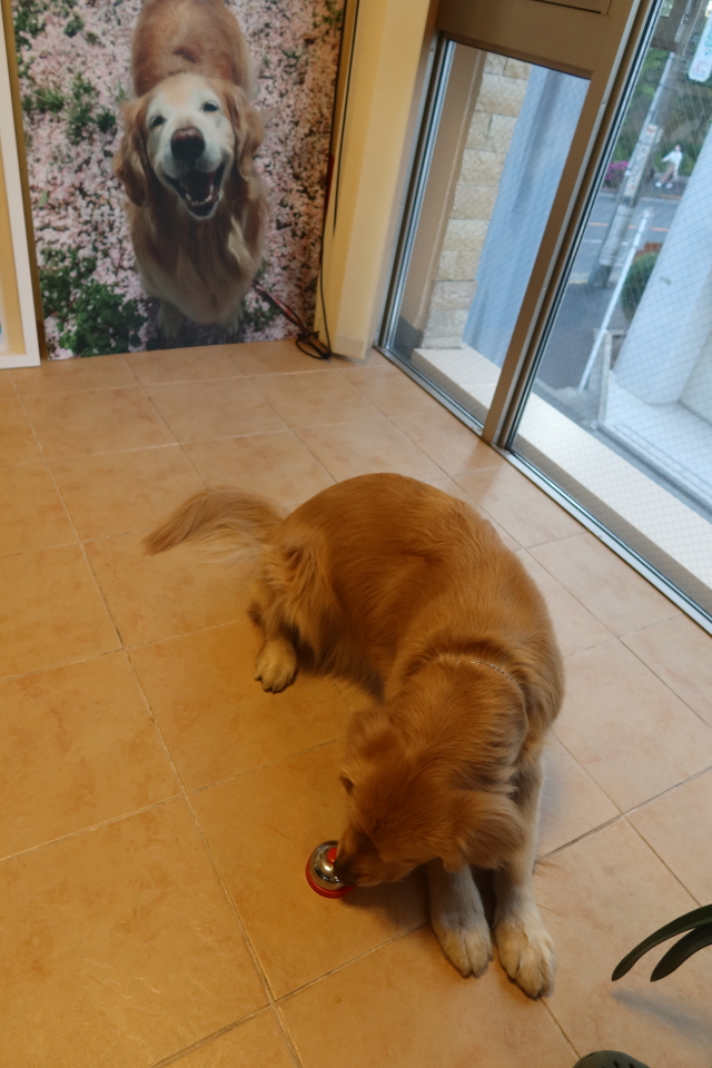 ファイル 7995-5.jpg