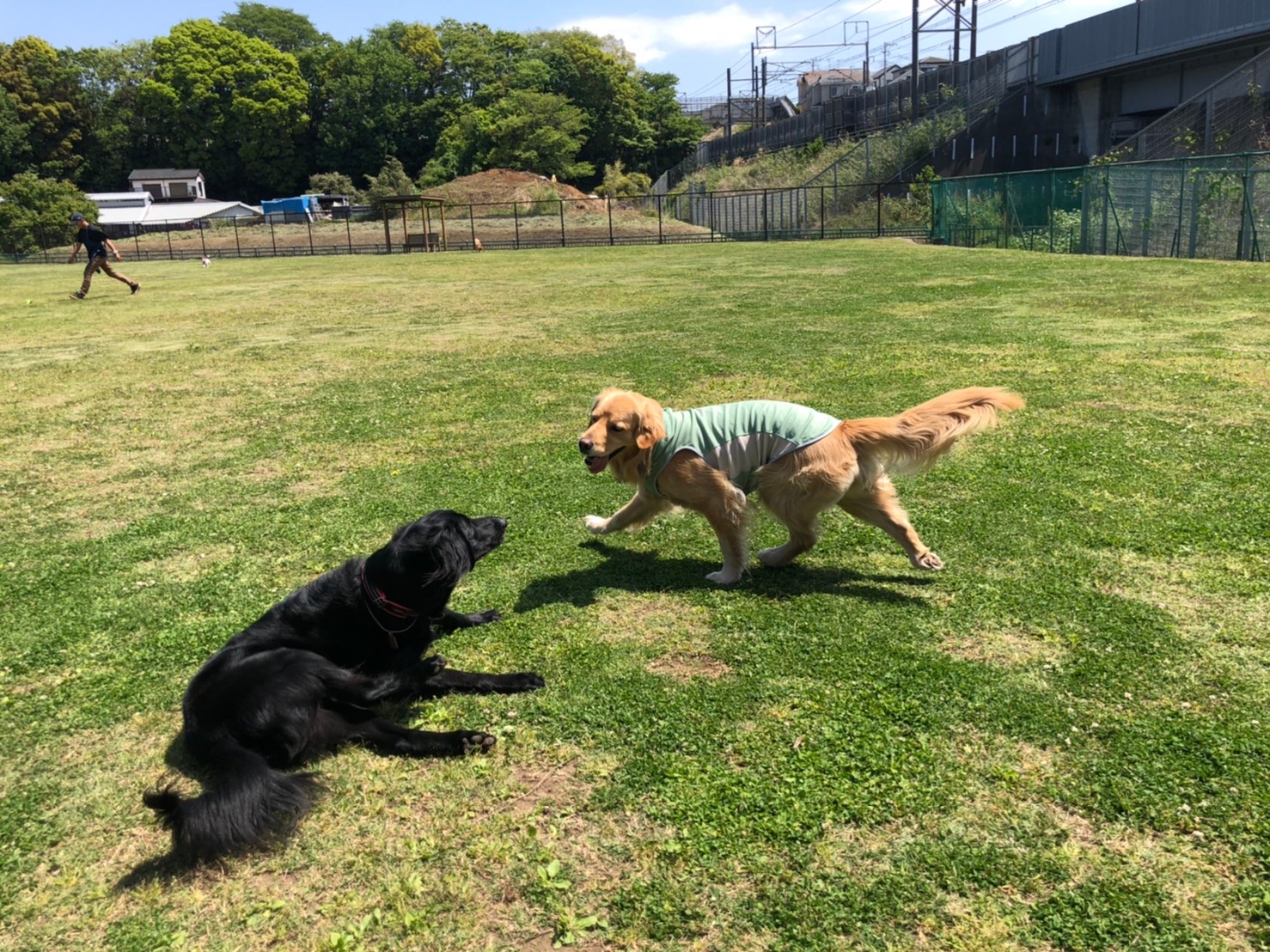 ファイル 7998-5.jpeg