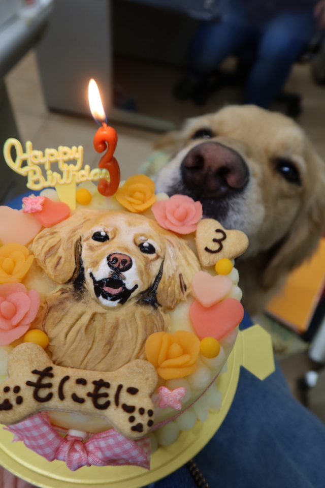 ファイル 7999-1.jpg