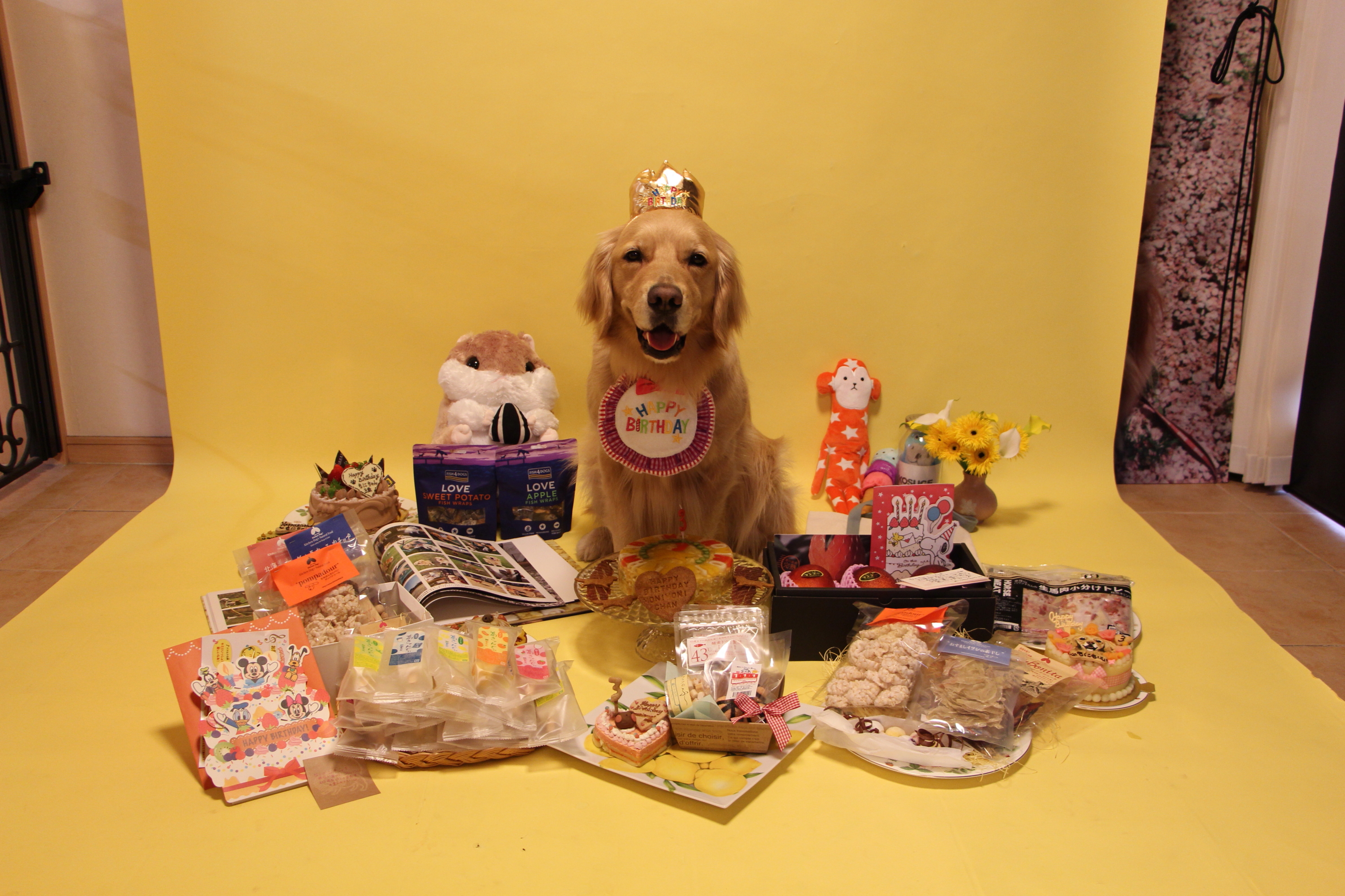 ファイル 7999-2.jpg