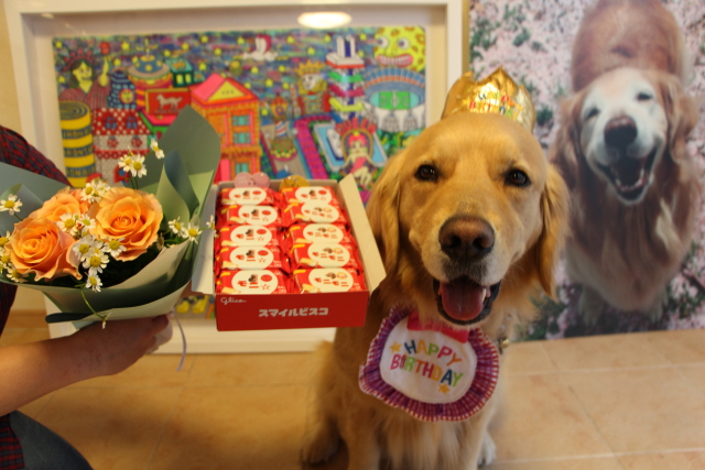 ファイル 7999-3.jpg