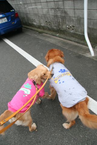 ファイル 80-1.jpg