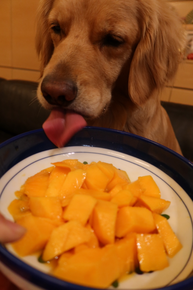 ファイル 8003-1.jpg