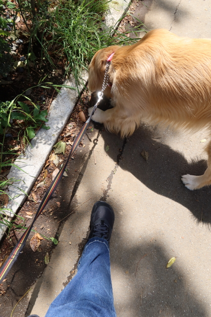 ファイル 8003-3.jpg