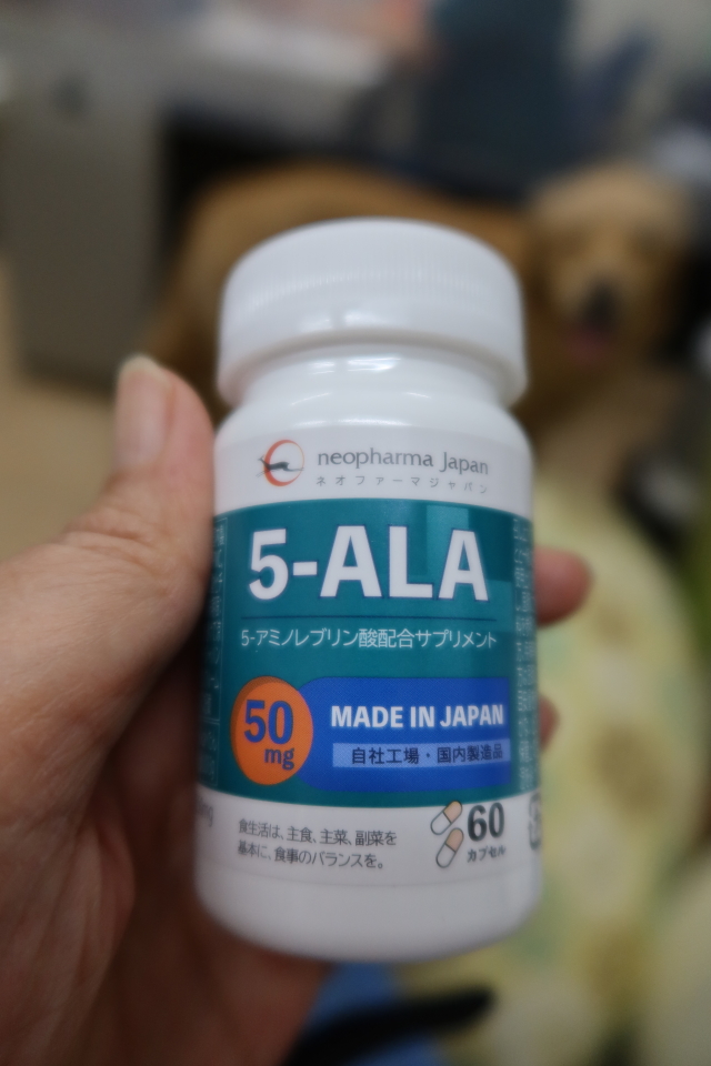 ファイル 8003-4.jpg