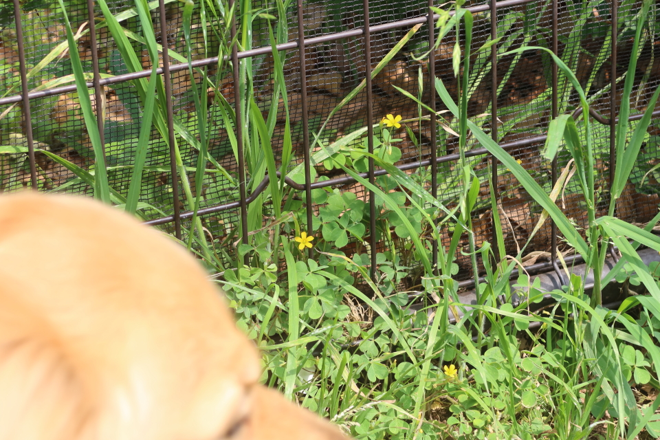 ファイル 8004-4.jpg