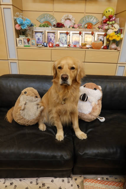 ファイル 8006-1.jpg