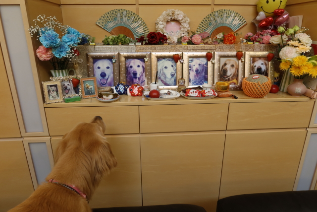 ファイル 8006-2.jpg