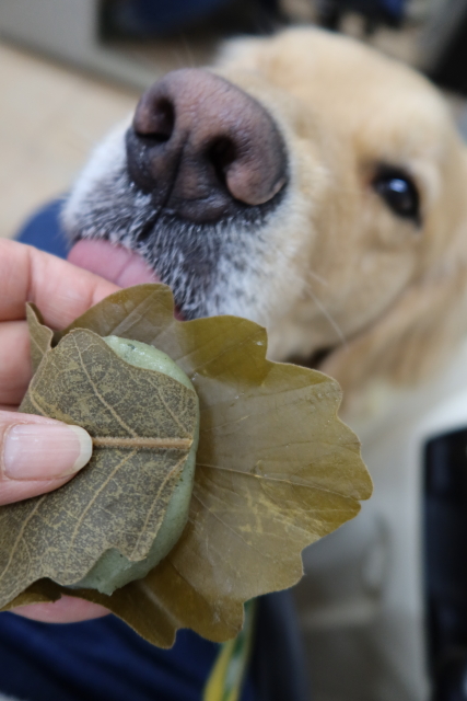 ファイル 8006-3.jpg