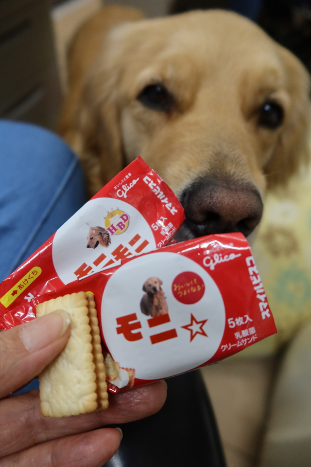 ファイル 8007-1.jpg