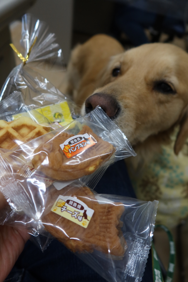 ファイル 8007-2.jpg