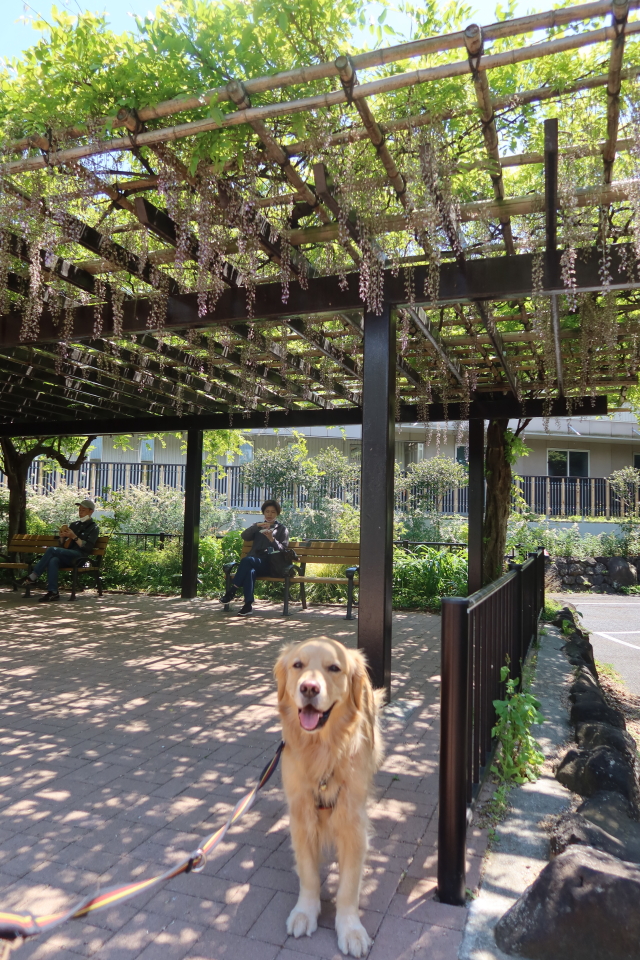 ファイル 8007-3.jpg